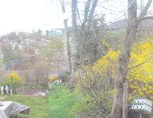 yard photo